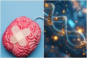 Medicina nebebus bejėgė? Skelbia svarbų atradimą apie nepagydomą Huntingtono ligą