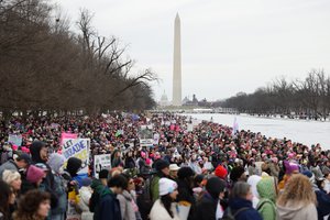 Prieš D. Trumpo inauguraciją – tūkstantiniai protestai Vašingtone