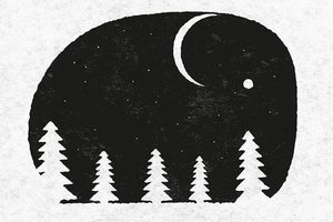 Ką pirmiausia pastebėjote? Paaiškės, ar gili jūsų asmenybė