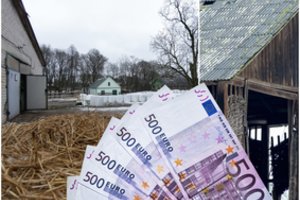 Žiniasklaida: Vilniaus pašonėje ketinama išparduoti milijonų vertės valstybinės įmonės turtą