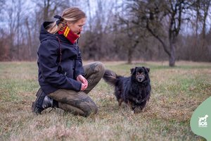 Pasakišką vardą gavęs šuo visus pasitinka su didžiausiu džiaugsmu: prašo pakeisti jo likimą