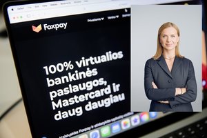 Teismas atidėjo I. Trinkūnaitės ir Vyriausybės bylos nagrinėjimą į vasarį