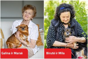 Po metų – analogų Lietuvoje neturinčios programos Vilniuje rezultatai: senjorai priglaudė dvigubai daugiau kačių