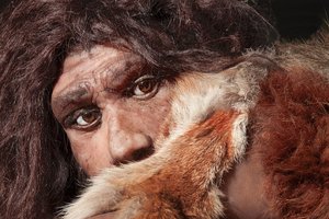 Kodėl išnyko neandertaliečiai? Užuominas pateikia ir kraujas