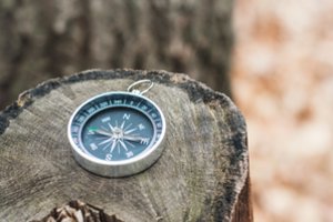 Mokslininkai ką tik atnaujino šiaurės ašigalio padėtį