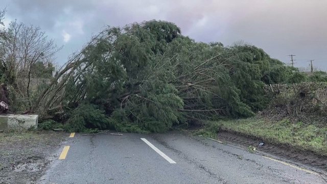 Rekordinis vėjas sukėlė chaosą Airijoje: be elektros liko 715 tūkst. namų