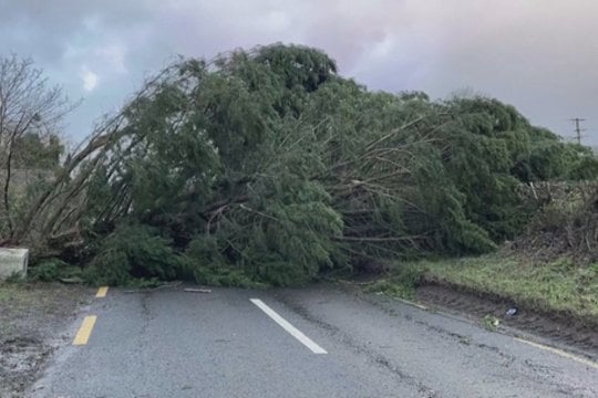 Rekordinis vėjas sukėlė chaosą Airijoje: be elektros liko 715 tūkst. namų