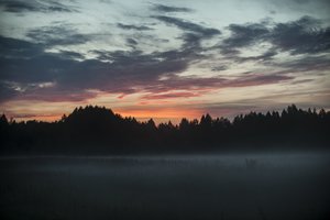 „Čia slepiasi priešistorinių laikų paslaptys“: iš pažiūros neišsiskirianti vieta tyrėjams dovanojo daug atradimų