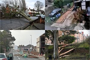 Airiją ir Jungtinę Karalystę nusiaubė audra: uraganinis vėjas medžius laužė lyg degtukus, nuniokota daug turto