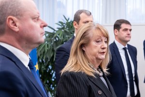 V. Blinkevičiūtė: vieši politikų apsižodžiavimai neturi užgožti darbų valstybei