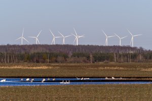 Jau įregistruotas siūlymas laikinai stabdyti antro vėjo parko Baltijos jūroje aukcioną 