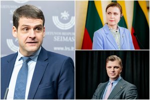 D. Šakalienė ir G. Jeglinskas įvertino R. Žemaitaičio planus inicijuoti auditą KAM