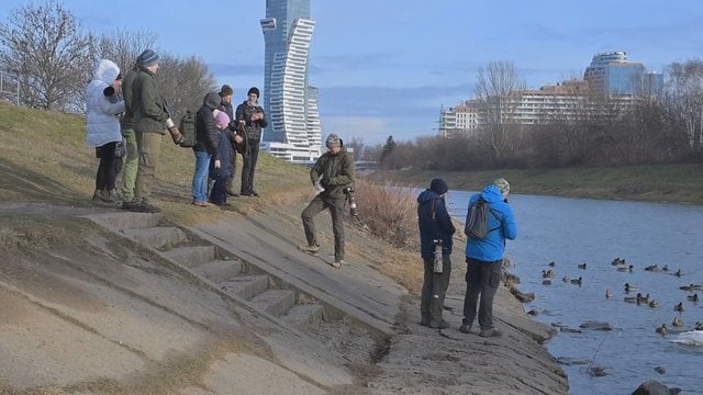 Lenkijoje – akcija gamtos mylėtojams: surengtas didysis paukščių skaičiavimas