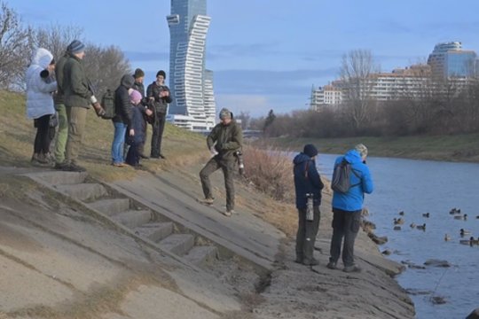 Lenkijoje – akcija gamtos mylėtojams: surengtas didysis paukščių skaičiavimas