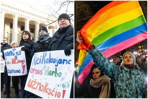 Siūlo palengvinti mitingų ir protestų organizavimą: derinimo procedūros neliktų, uždraustų tik teismas