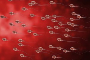 Mokslininkai: spermos ląstelėse galima aptikti vaikystėje patirto streso pėdsakų