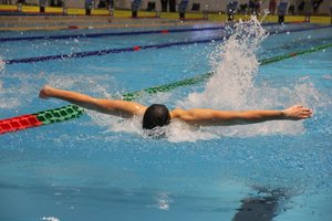 Plaukimo fiesta Vilniuje – „Vilnius Swim Cup“ varžybos pritraukė beveik 800 sportininkų