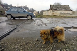 Ragina ieškoti pusės milijardo keliams: dabartinė jų būklė netenkina nei gyventojų, nei valdžios