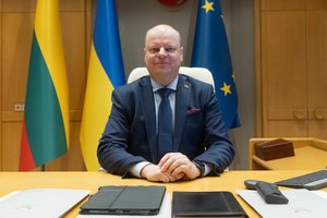 Pirmąkart rinksis už parlamentinių lėšų panaudojimą atsakinga darbo grupė: svarstys S. Skvernelio siūlymą