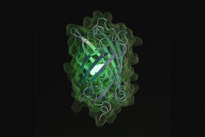 Dirbtinis intelektas padarė tai, kas gamtoje būtų vykę 500 000 000 metų