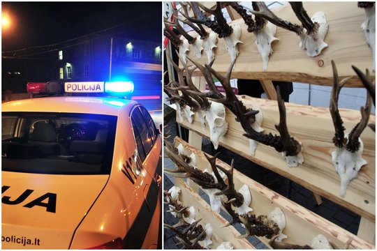 Iš ūkinio pastato Šiaulių r. pavogti ragai