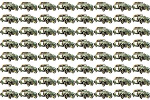 Kuris automobilis yra kitoks? Suranda tik turintys erelio akį