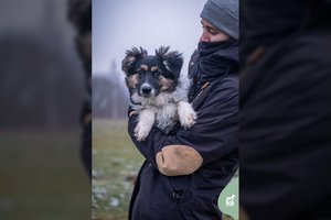 8 mėn. ir 10 kg meilės kamuoliukas ieško kantraus ir supratingo žmogaus