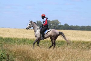 Penkiskart Lietuvos ištvermės jojimo čempionė žirgais šturmuos šiųmečio Dakaro ralio trasą