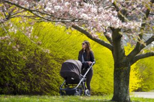 Skambina pavojaus varpais: kūdikių pernai gimė rekordiškai mažai