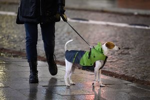 Minimalioji mėnesinė alga Lietuvoje 2024 m. buvo didžiausia Baltijos šalyse: štai kokiems sektoriams ji augo sparčiausiai