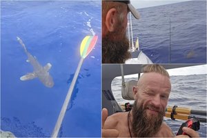 A. Mockaus nuotykiai vandenyne: dar nematyto plėšrūno palyda ir grožio procedūros