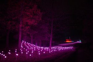 Pratęsiamas didelio susidomėjimo sulaukęs šviesos festivalis „Paslapčių miškas“ Rumšiškėse