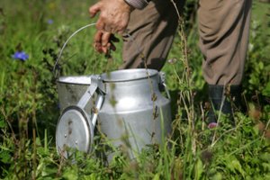 Tyrimas: Lietuvos pieno ūkiai per dešimtmetį gali perpus padidinti pieno gamybą