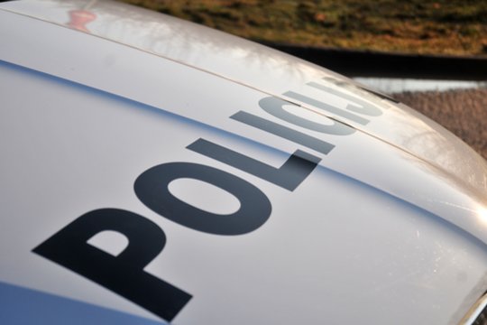 Šiaulių rajone pavogtas krautuvo kaušas