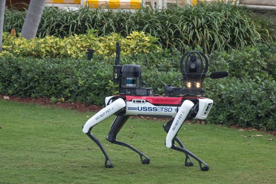 D. Trumpo rezidencijoje – modernus apsaugos sprendimas: patruliuoja šuo robotas Spotas