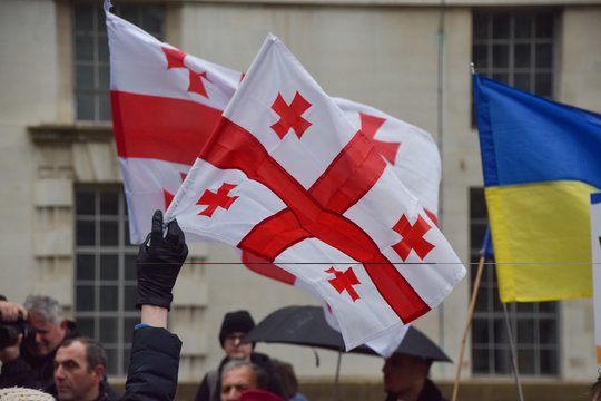 Sakartvelo policija mitingo metu sulaikė du opozicijos lyderius