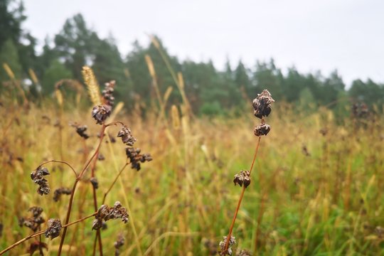 VU archeologų straipsnis – prestižiniame mokslo žurnale: aprašė, kaip senovės žemės ūkiai prisitaikė prie klimato kaitos