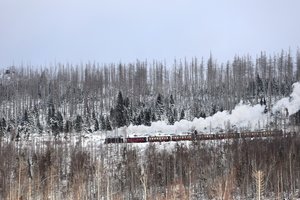Vokietijos pensininkas sukėlė gaisrą traukinyje, sumanęs ant dujinės viryklės išsivirti kavos