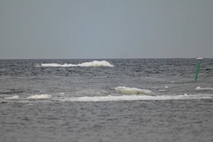 Conservatives call for stronger protection of the Baltic Sea: possible sanctions against Russia