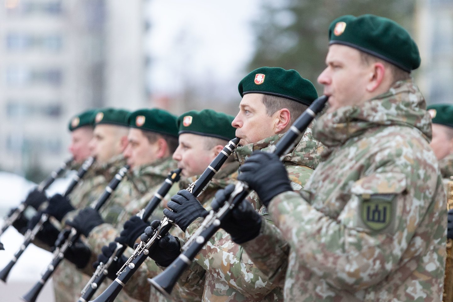 Lietuvos kariuomenė<br>D. Labučio (ELTA) nuotr.