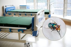 Tyrimas: ligoninėse musės gali platinti pavojingas bakterijas