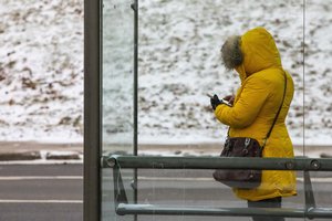 Orai išliks žiemiški: temperatūra kris vis žemiau
