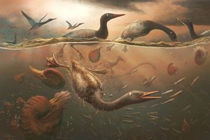 Išskirtinis radinys Antarktidoje gali padėti tašką ilgoje mokslininkų diskusijoje