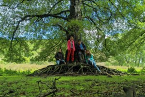 Lietuvos mokslininkai paskelbė straipsnį prestižiniame mokslo žurnale „Nature“