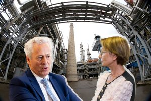 „Achemos“ pardavimo fone – nustebinęs L. Lubienės elgesys: A. Laurinaitis kito kelio nematė