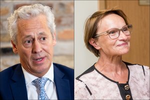 Kova dėl „Achemos grupės“ akcijų: L. Lubienė sureagavo į A. Laurinaičio pareiškimus