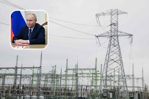 Vokietijoje – istorinio Lietuvos žingsnio atgarsiai: skelbia ir apie V. Putino grėsmę