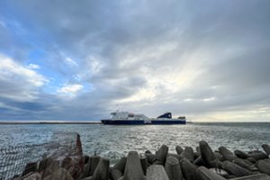 UNESCO kritikuoja tilto į Neringą idėją – meras D. Jasaitis pasigenda iš jų realių argumentų