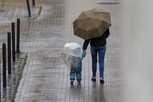 Seimo pavasario sesijoje ketinama grįžti prie viešo seksualinių nusikaltėlių registro iniciatyvos