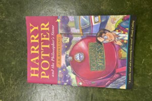 Iš šiukšliadėžės išgelbėta knyga apie Harį Poterį parduota už 21 tūkst. svarų sterlingų